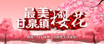 甘泉镇樱花节