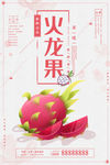 火龙果海报