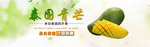 泰国青芒