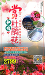 神农杜鹃花旅游海报