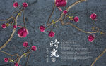 玉兰花开
