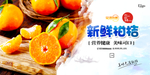 柑桔