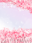 樱花背景