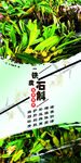 中药 药材 中药养生 石斛