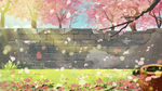 樱花背景