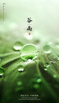 谷雨
