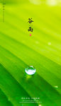 谷雨