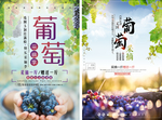 2款梦幻葡萄海报设计