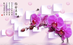 蝴蝶兰方块背景立体背景墙壁画