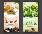 金银花