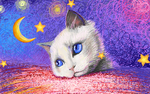 猫唯美