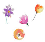 手绘花卉元素