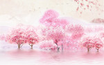 唯美樱花