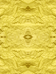 纸