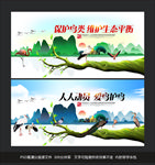 保护鸟类