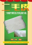 二毛皮