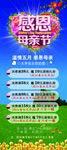 母亲节