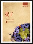 提子