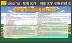 肉鸡的科学饲养管理技术