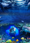 海底世界