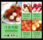 红毛丹
