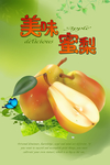 蜜梨