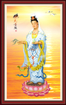 佛光普照