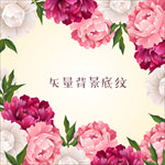 矢量彩色牡丹花盛开花朵背景图