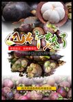 山竹熟了