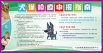 简洁版狂犬病健康宣传栏