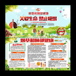 世界无烟日宣传栏