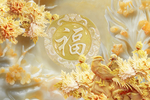 牡丹富贵吉祥福字电视背景墙