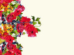 定位花