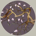蝶恋花