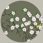 手绘花鸟
