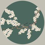 花鸟装饰画
