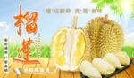 榴莲海报