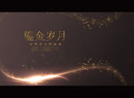 鎏金岁月