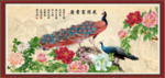 孔雀牡丹图