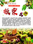 简约时尚新鲜板栗美食海报设计
