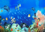 海底世界