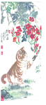 猫咪