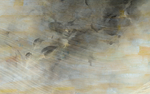 抽象油画