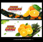 果冻橙