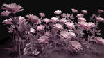 3D纸花模型