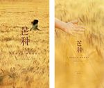 芒种节气