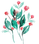 水彩花卉插画