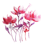 水彩清新花卉插画