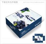 蓝莓大礼包包装箱包装礼盒设计