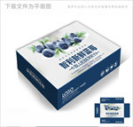 进口蓝莓通用包装箱包装礼盒设计